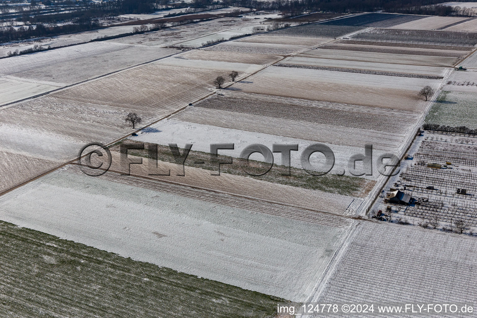 Aerial view of Winter aerial view in the snow in Billigheim-Ingenheim in the state Rhineland-Palatinate, Germany