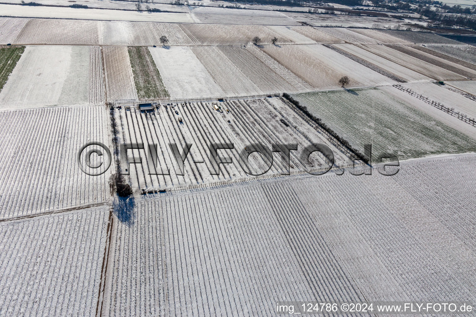 Aerial view of Winter aerial view in the snow in the district Mühlhofen in Billigheim-Ingenheim in the state Rhineland-Palatinate, Germany