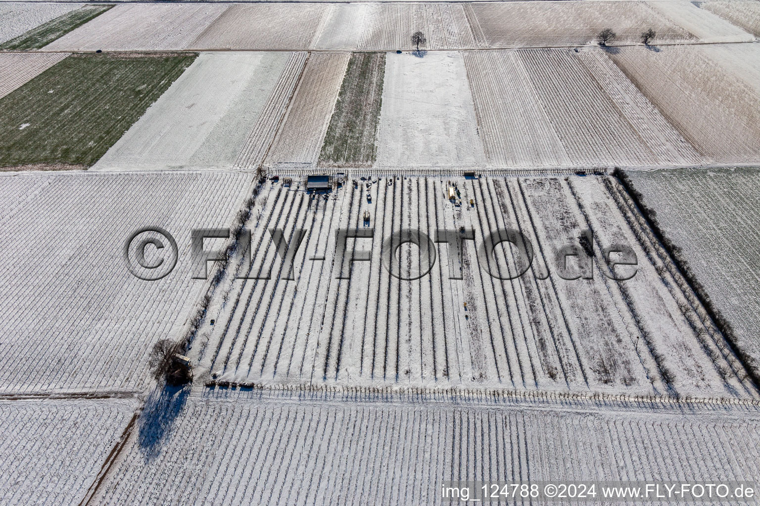 Aerial view of Winter aerial view in the snow in the district Mühlhofen in Billigheim-Ingenheim in the state Rhineland-Palatinate, Germany