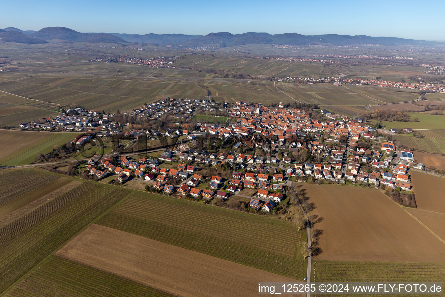 Oblique view of District Mörzheim in Landau in der Pfalz in the state Rhineland-Palatinate, Germany