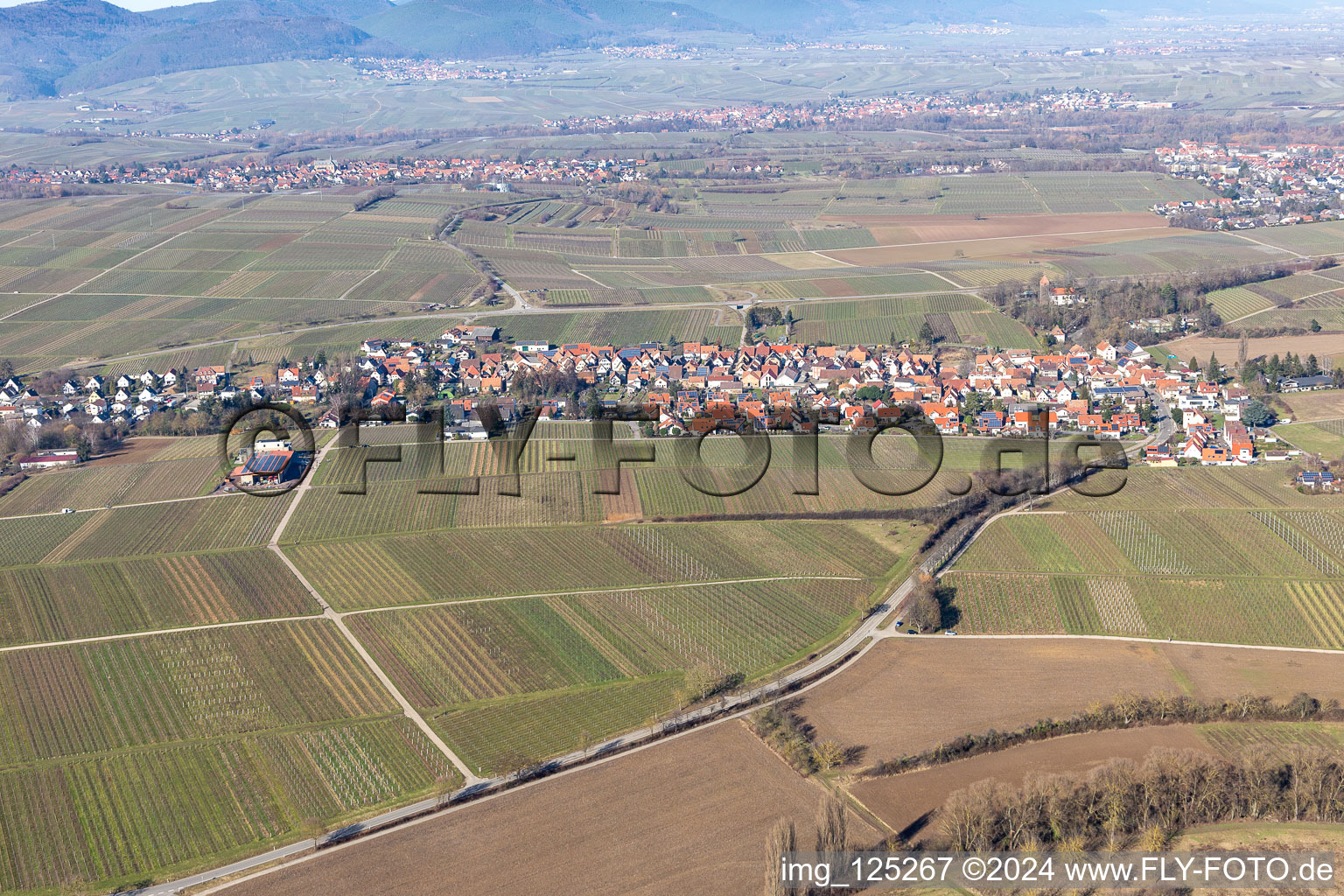 District Wollmesheim in Landau in der Pfalz in the state Rhineland-Palatinate, Germany viewn from the air