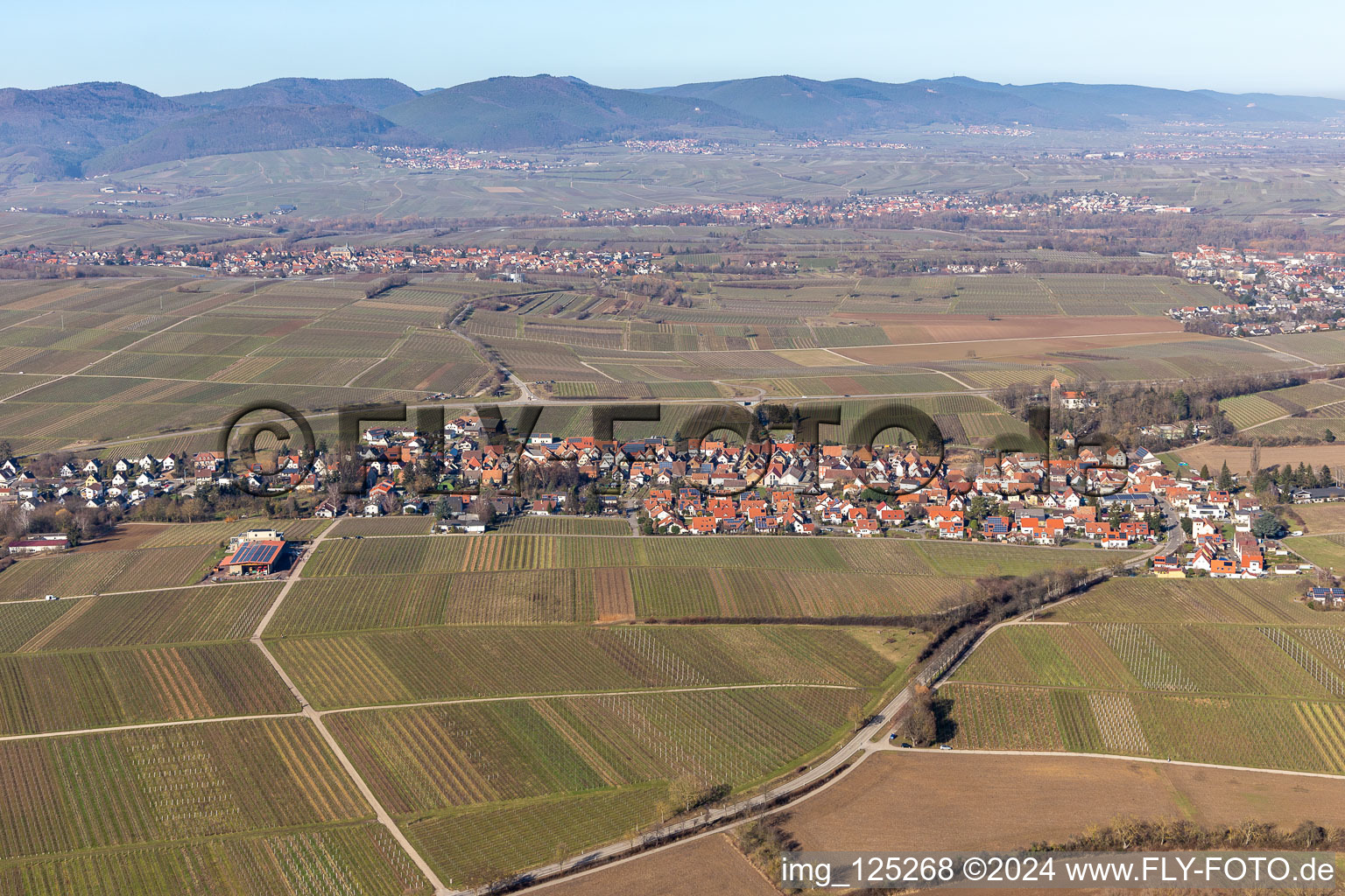 Drone recording of District Wollmesheim in Landau in der Pfalz in the state Rhineland-Palatinate, Germany