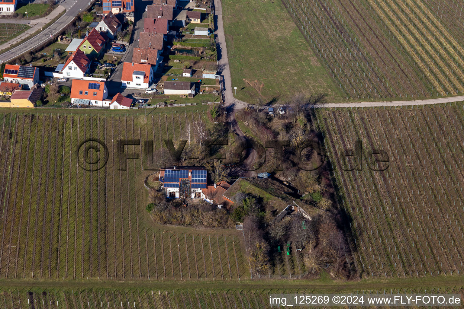 Bioland winegrowing under the grass roof in the district Wollmesheim in Landau in der Pfalz in the state Rhineland-Palatinate, Germany