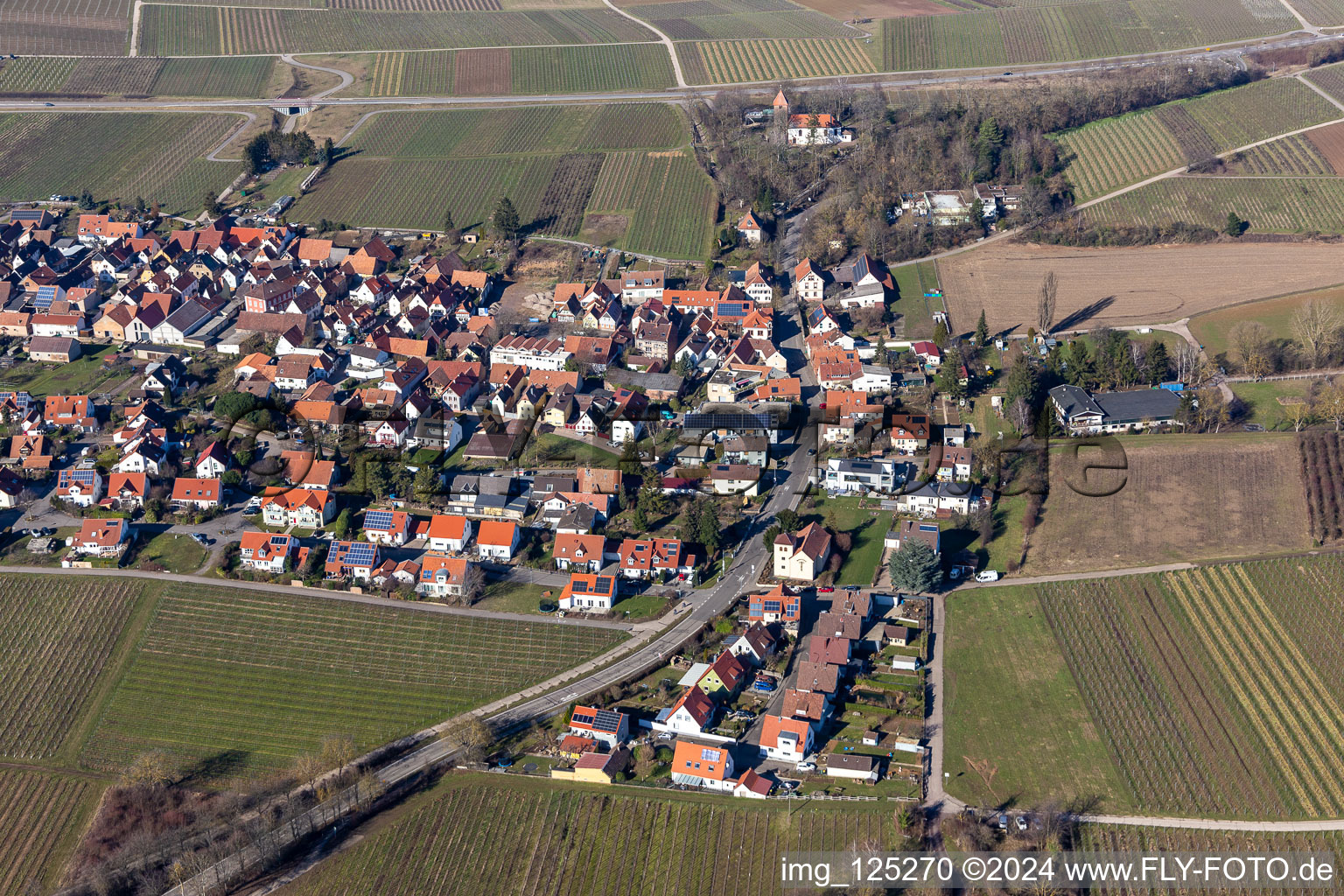 Drone image of District Wollmesheim in Landau in der Pfalz in the state Rhineland-Palatinate, Germany