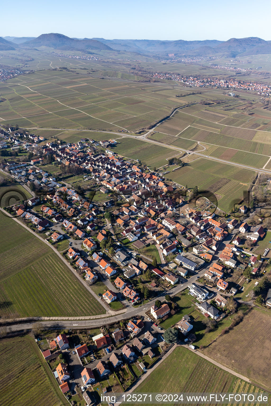 District Wollmesheim in Landau in der Pfalz in the state Rhineland-Palatinate, Germany from the drone perspective