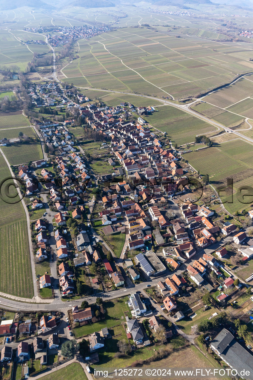 District Wollmesheim in Landau in der Pfalz in the state Rhineland-Palatinate, Germany from a drone