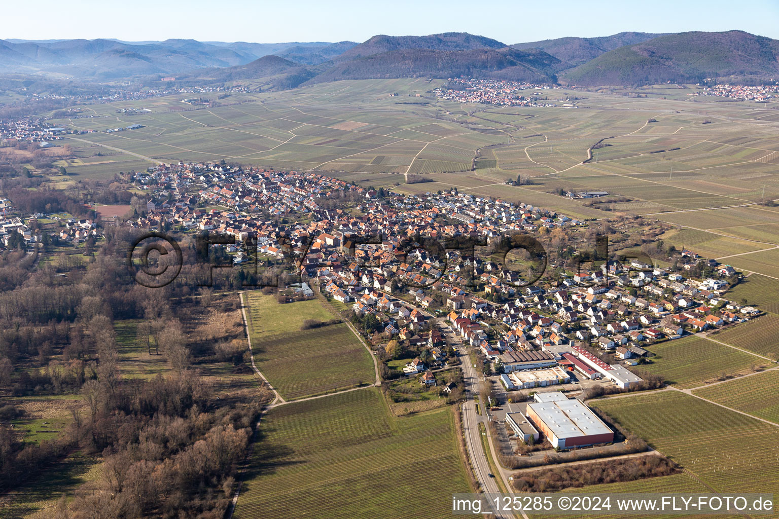 Oblique view of District Godramstein in Landau in der Pfalz in the state Rhineland-Palatinate, Germany