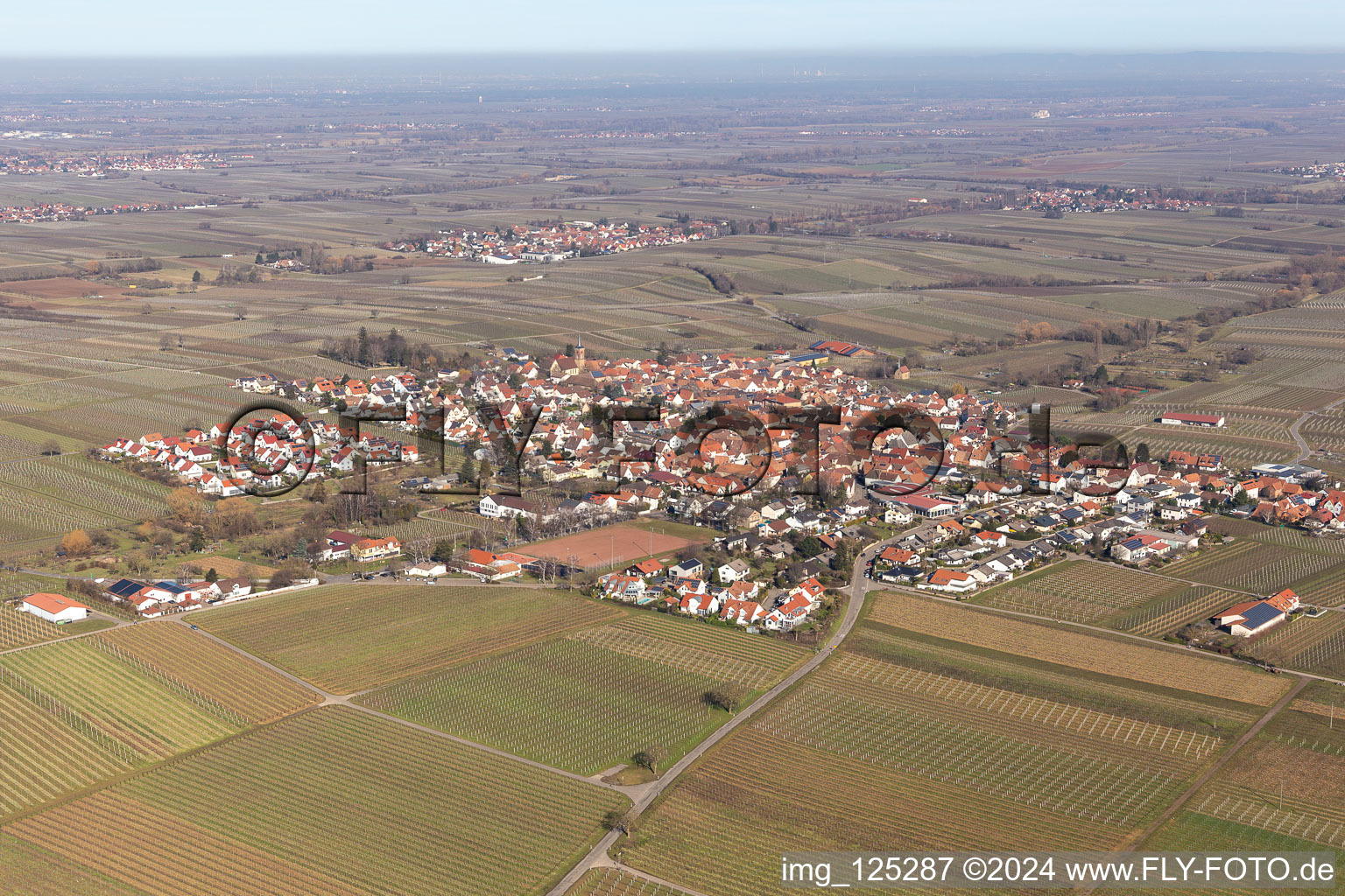 District Nußdorf in Landau in der Pfalz in the state Rhineland-Palatinate, Germany from above