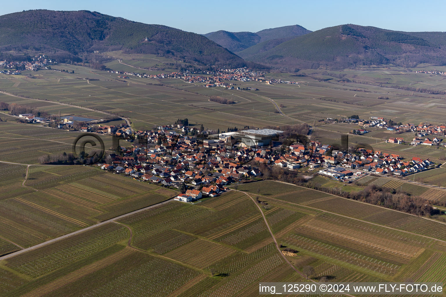 Böchingen in the state Rhineland-Palatinate, Germany seen from above