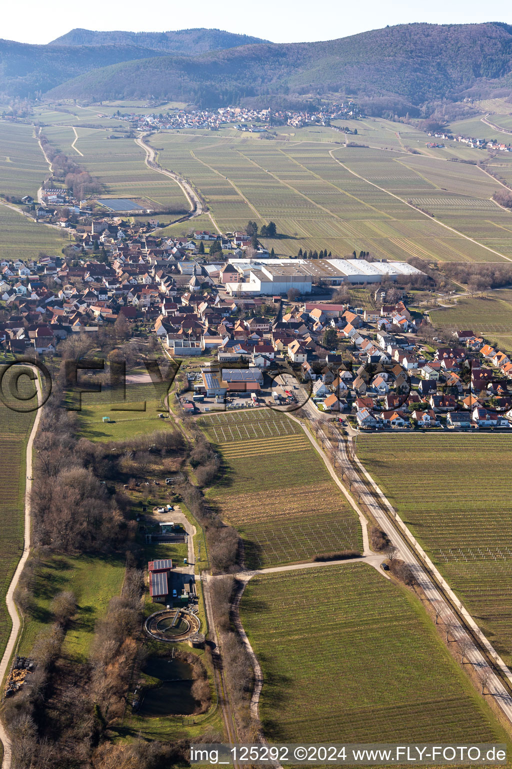 Bird's eye view of Böchingen in the state Rhineland-Palatinate, Germany