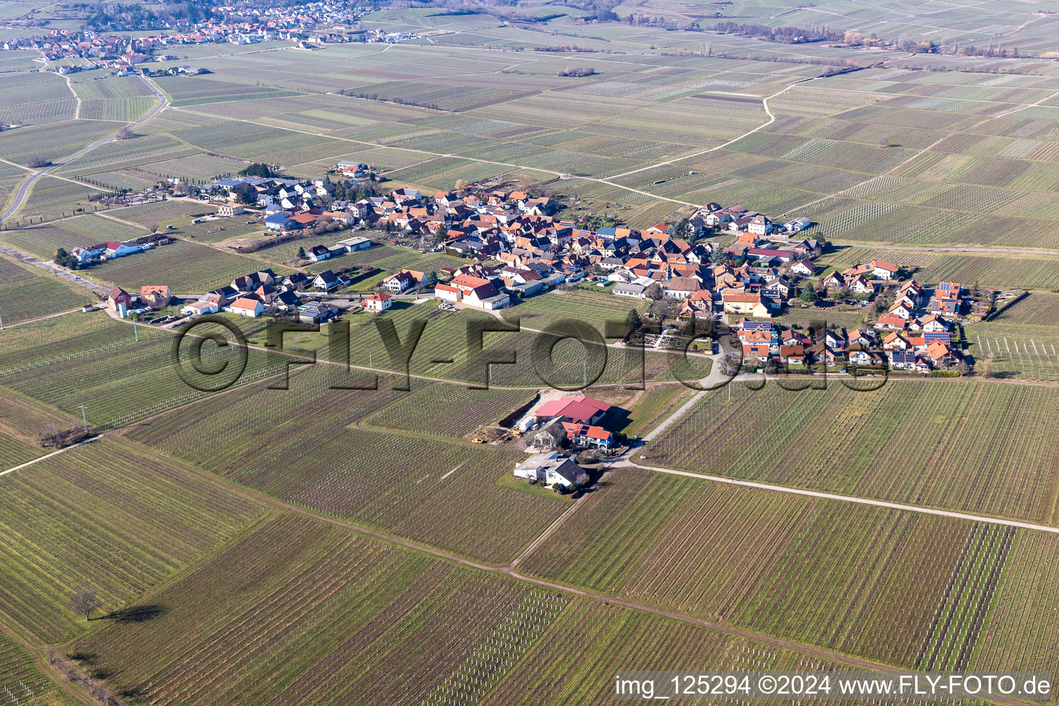 Flemlingen in the state Rhineland-Palatinate, Germany out of the air