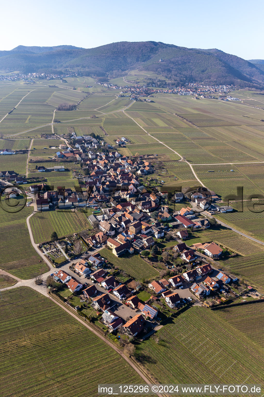 Flemlingen in the state Rhineland-Palatinate, Germany seen from above