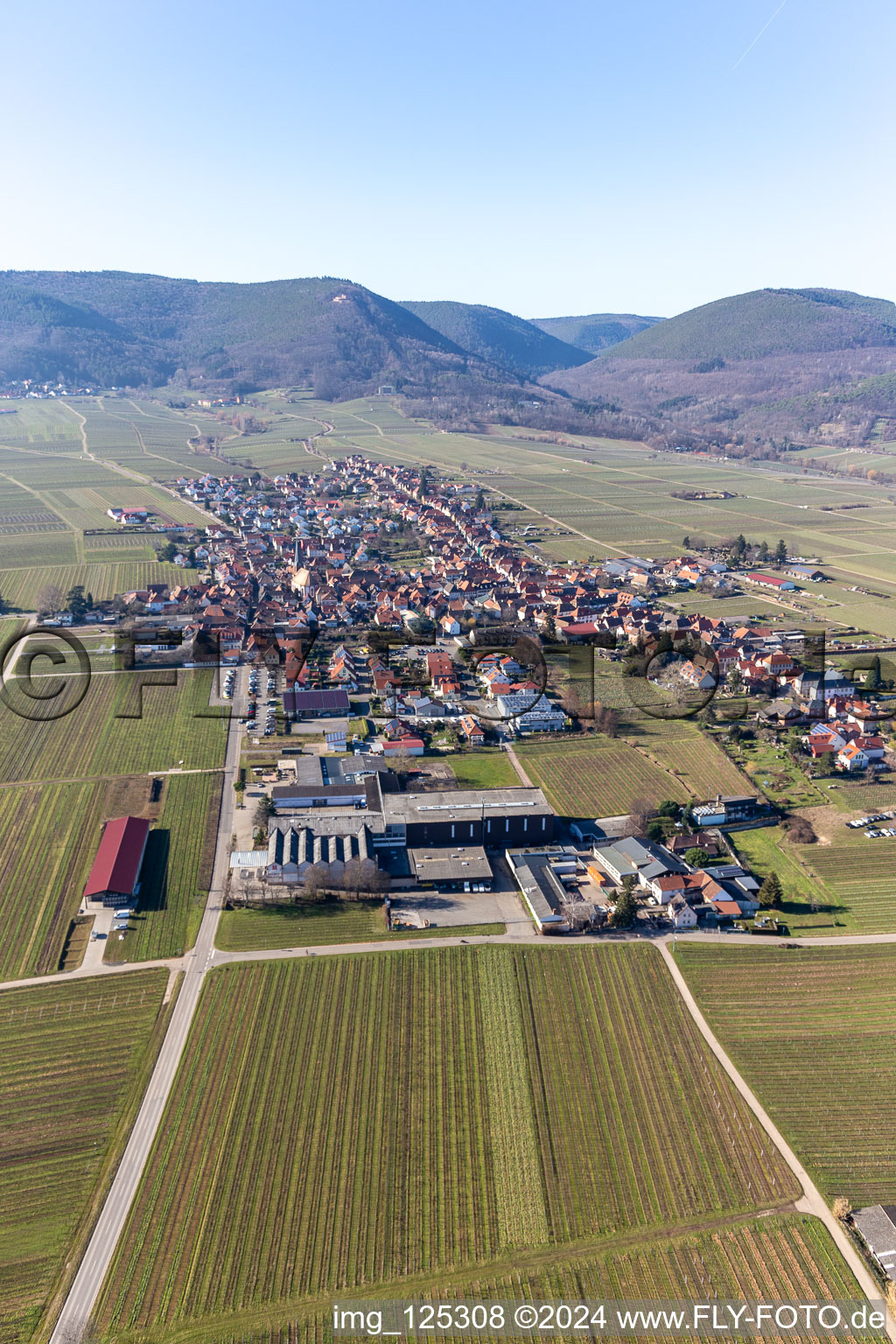 Aerial view of District Rhodt in Rhodt unter Rietburg in the state Rhineland-Palatinate, Germany