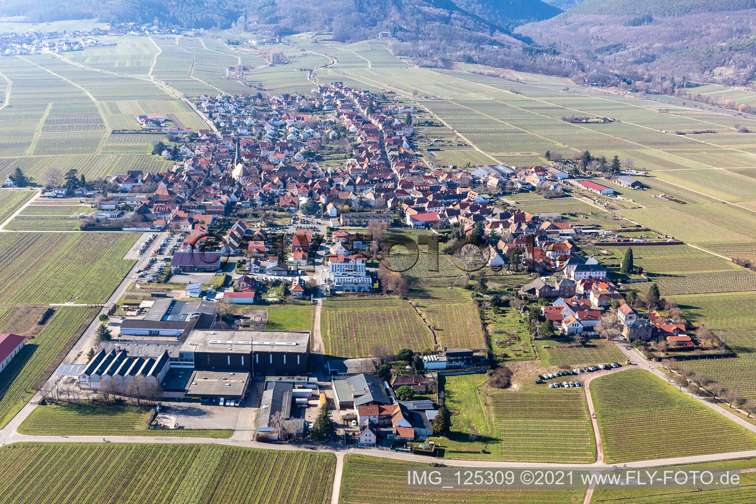 Drone image of Rhodt unter Rietburg in the state Rhineland-Palatinate, Germany