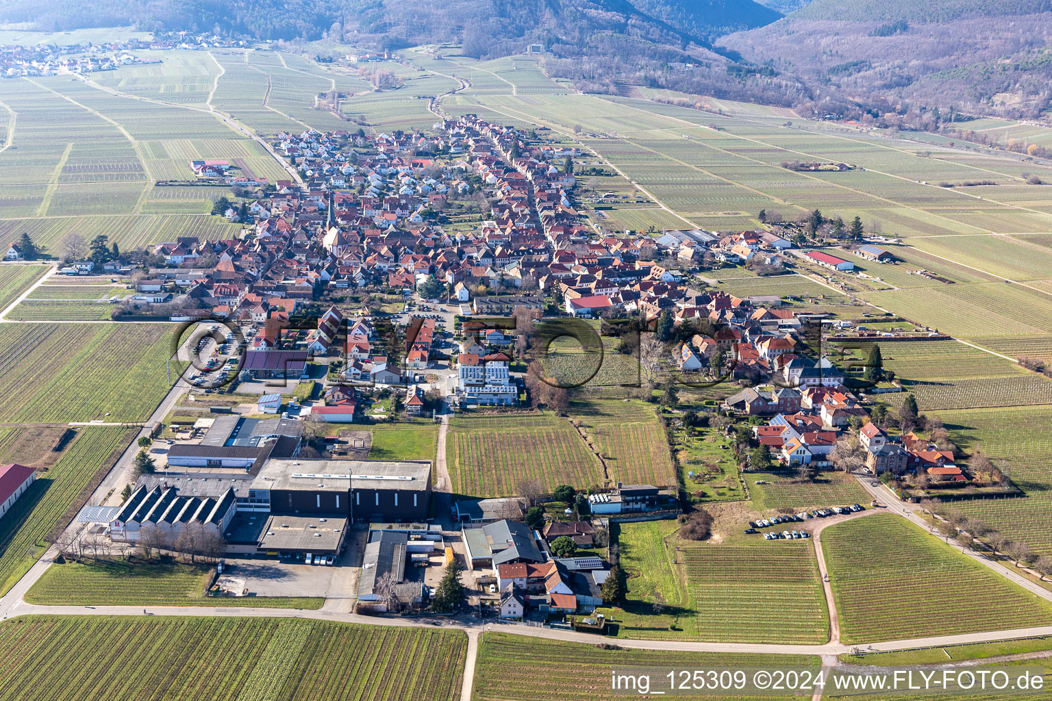 Aerial photograpy of District Rhodt in Rhodt unter Rietburg in the state Rhineland-Palatinate, Germany