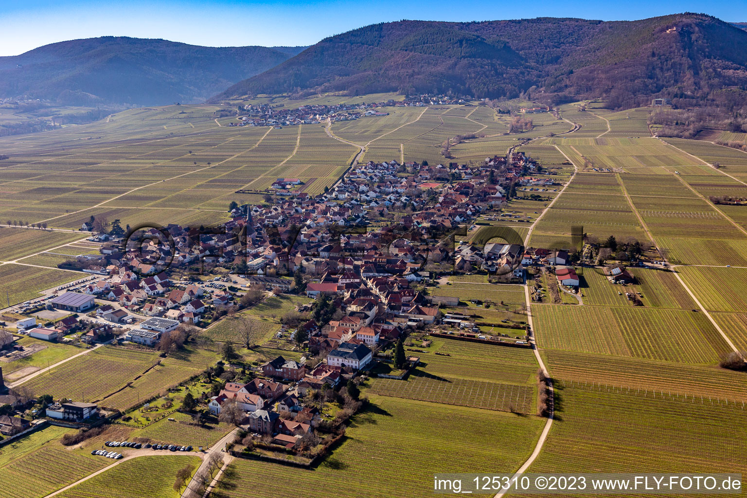 Rhodt unter Rietburg in the state Rhineland-Palatinate, Germany from the drone perspective