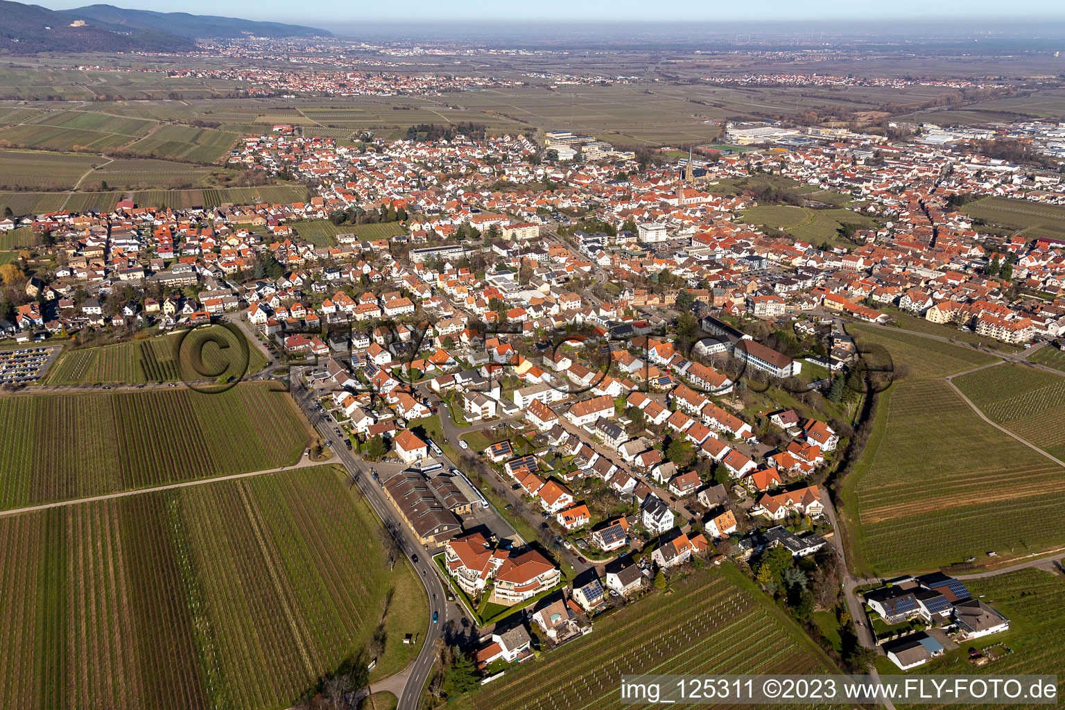 Edenkoben in the state Rhineland-Palatinate, Germany from a drone