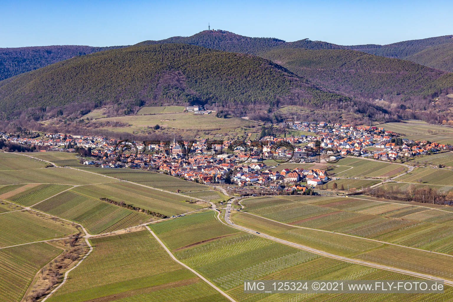 Sankt Martin in the state Rhineland-Palatinate, Germany seen from above