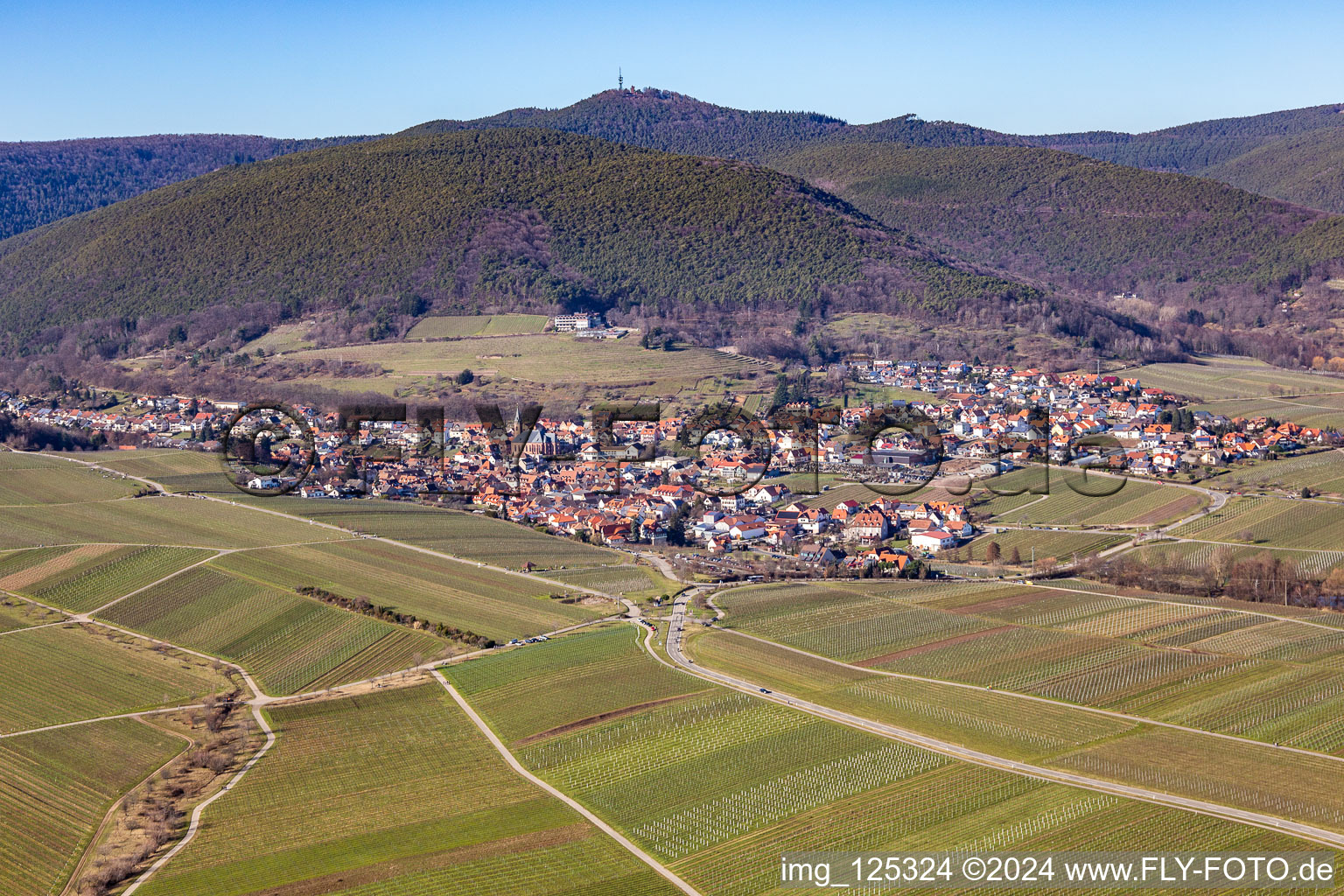 Sankt Martin in the state Rhineland-Palatinate, Germany seen from above