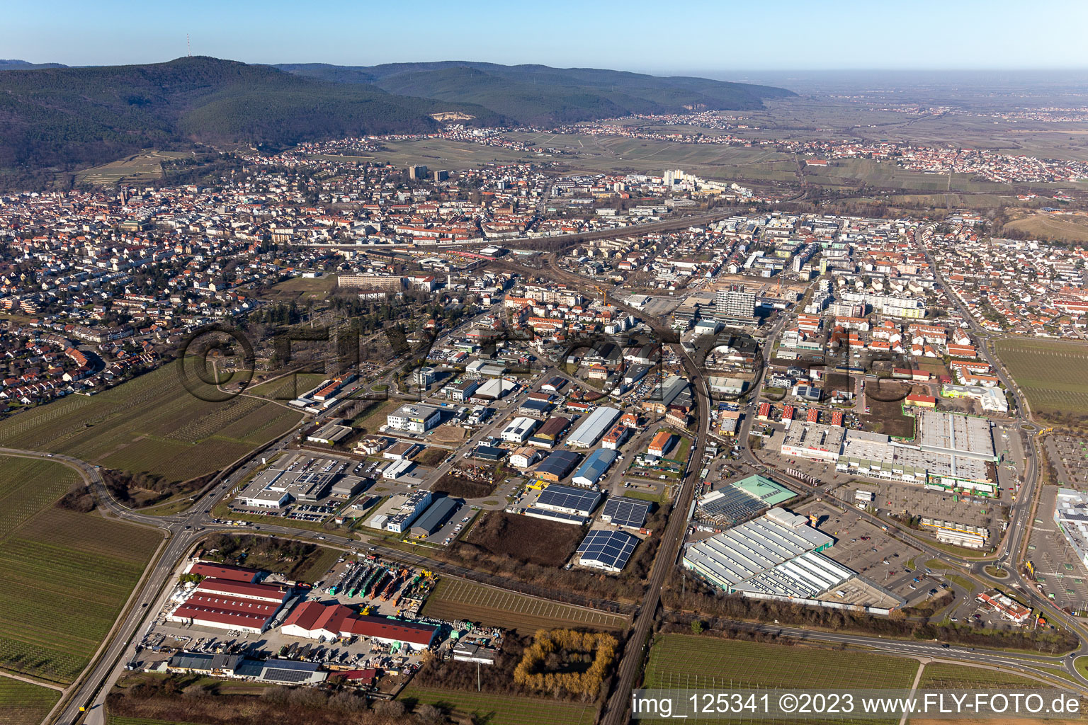 Neustadt an der Weinstraße in the state Rhineland-Palatinate, Germany from a drone