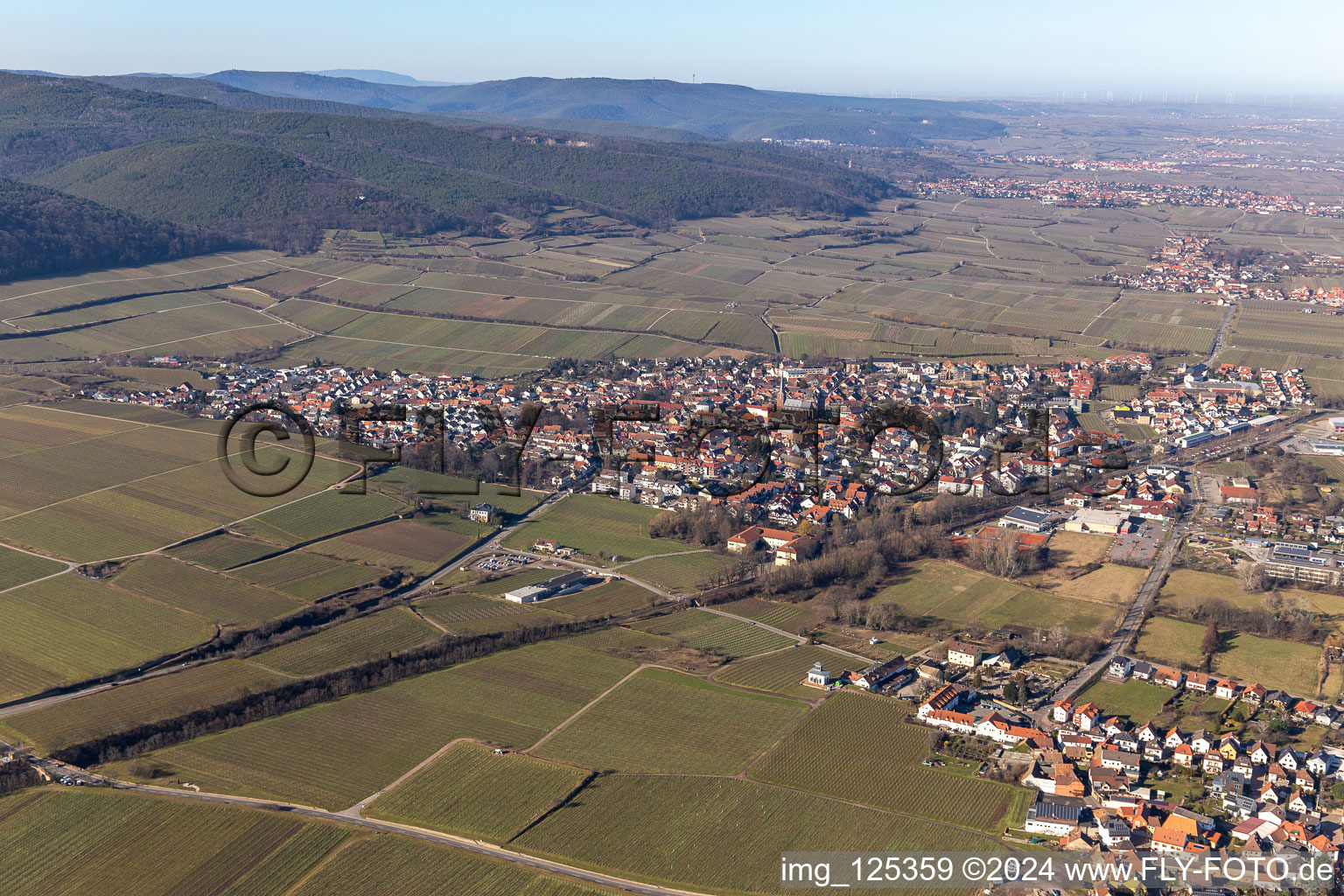 Drone recording of Deidesheim in the state Rhineland-Palatinate, Germany