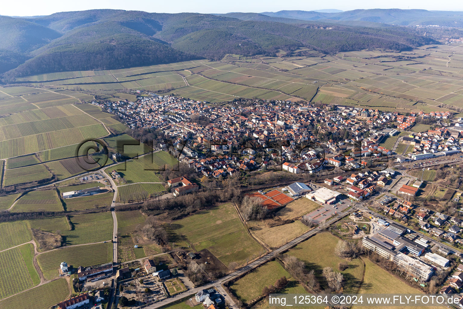 Ruppertsberg in the state Rhineland-Palatinate, Germany from the drone perspective