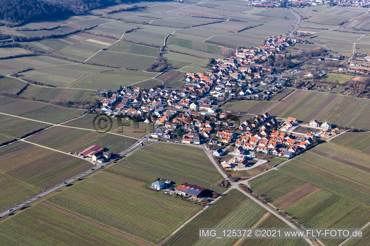 Aerial photograpy of Village - view on the edge of wine yards in Forst an der Weinstrasse in the state Rhineland-Palatinate, Germany