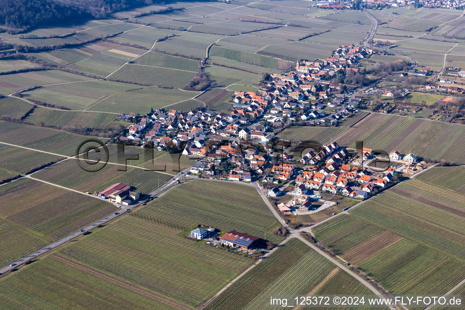 Aerial photograpy of Village - view on the edge of wine yards in Forst an der Weinstrasse in the state Rhineland-Palatinate, Germany