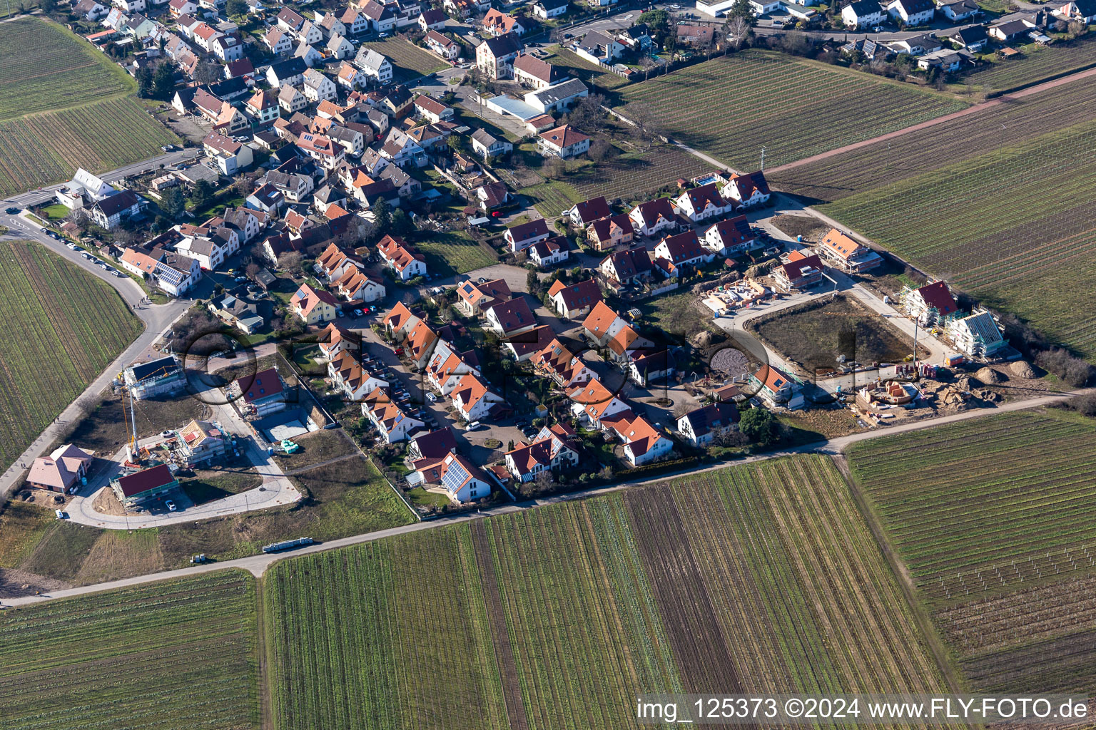 Rieslingweg, Traminerweg, Silvanerweg in the district Forst in Forst an der Weinstraße in the state Rhineland-Palatinate, Germany