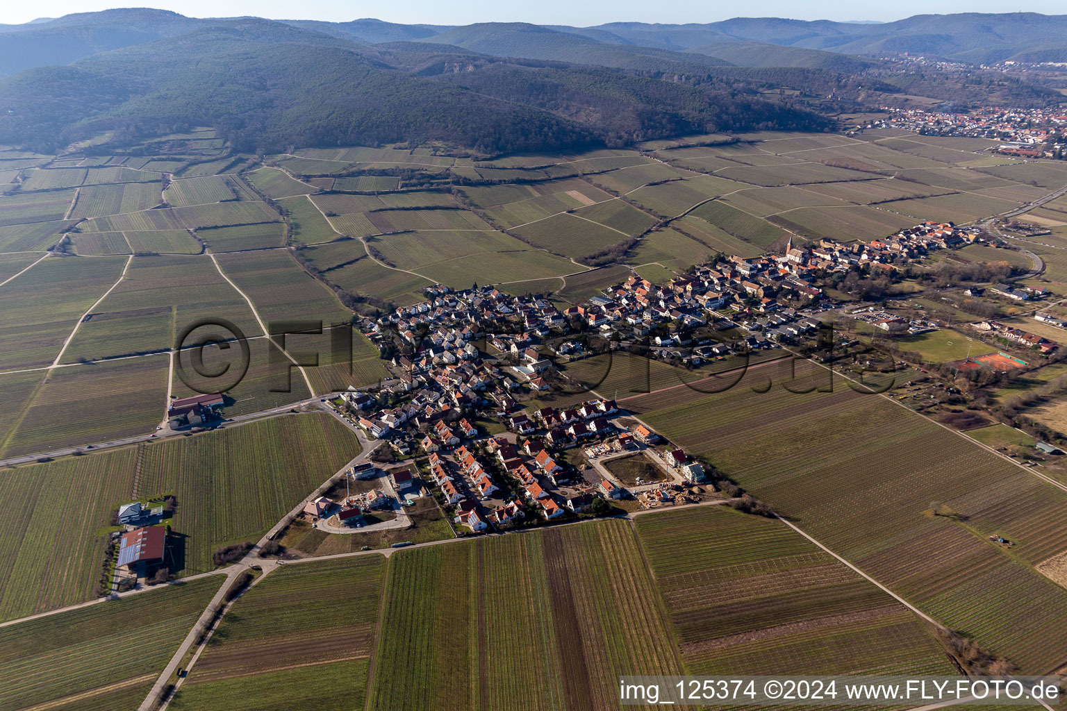 Forst an der Weinstraße in the state Rhineland-Palatinate, Germany from the drone perspective