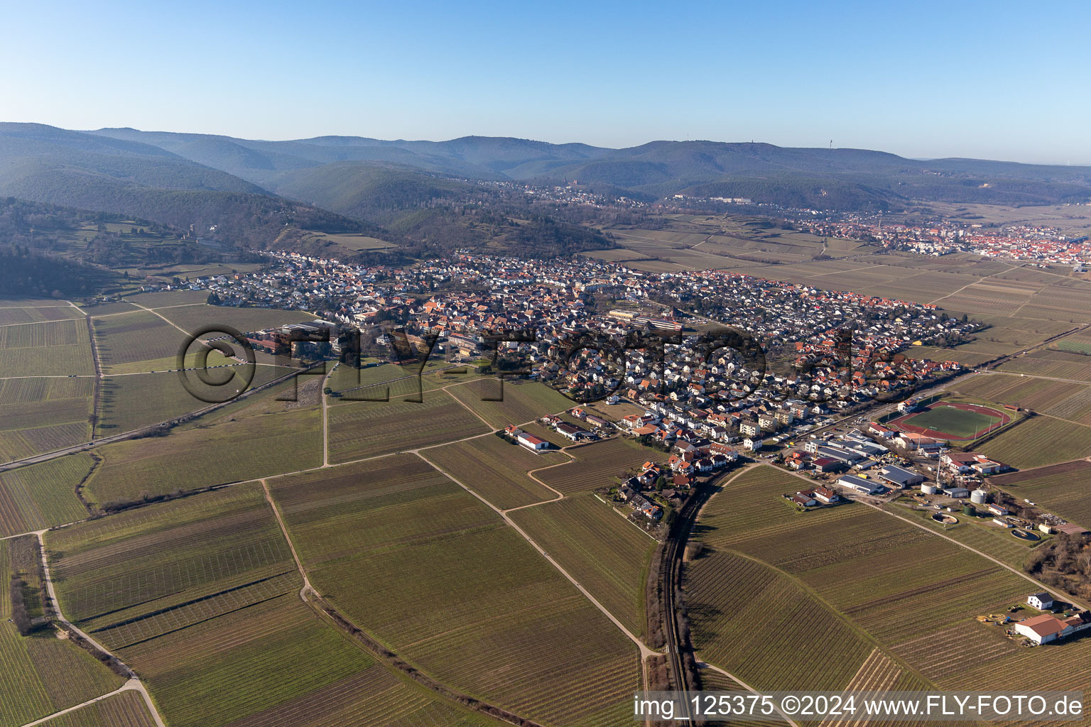 Aerial view of District Wachenheim in Wachenheim an der Weinstraße in the state Rhineland-Palatinate, Germany