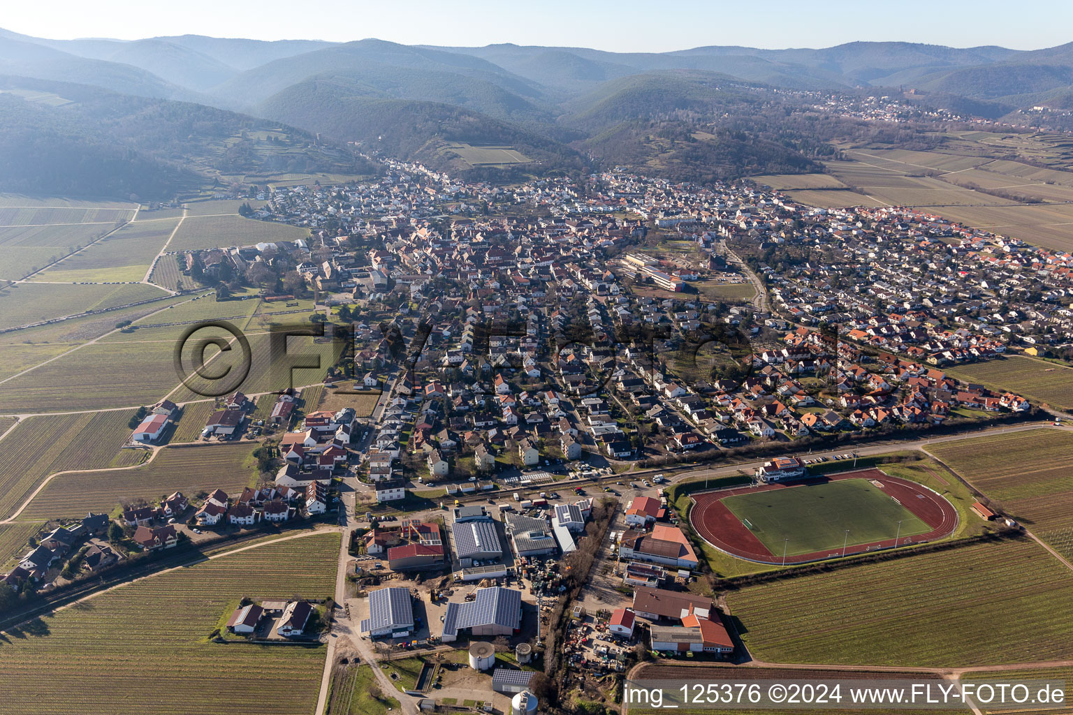 Aerial photograpy of District Wachenheim in Wachenheim an der Weinstraße in the state Rhineland-Palatinate, Germany