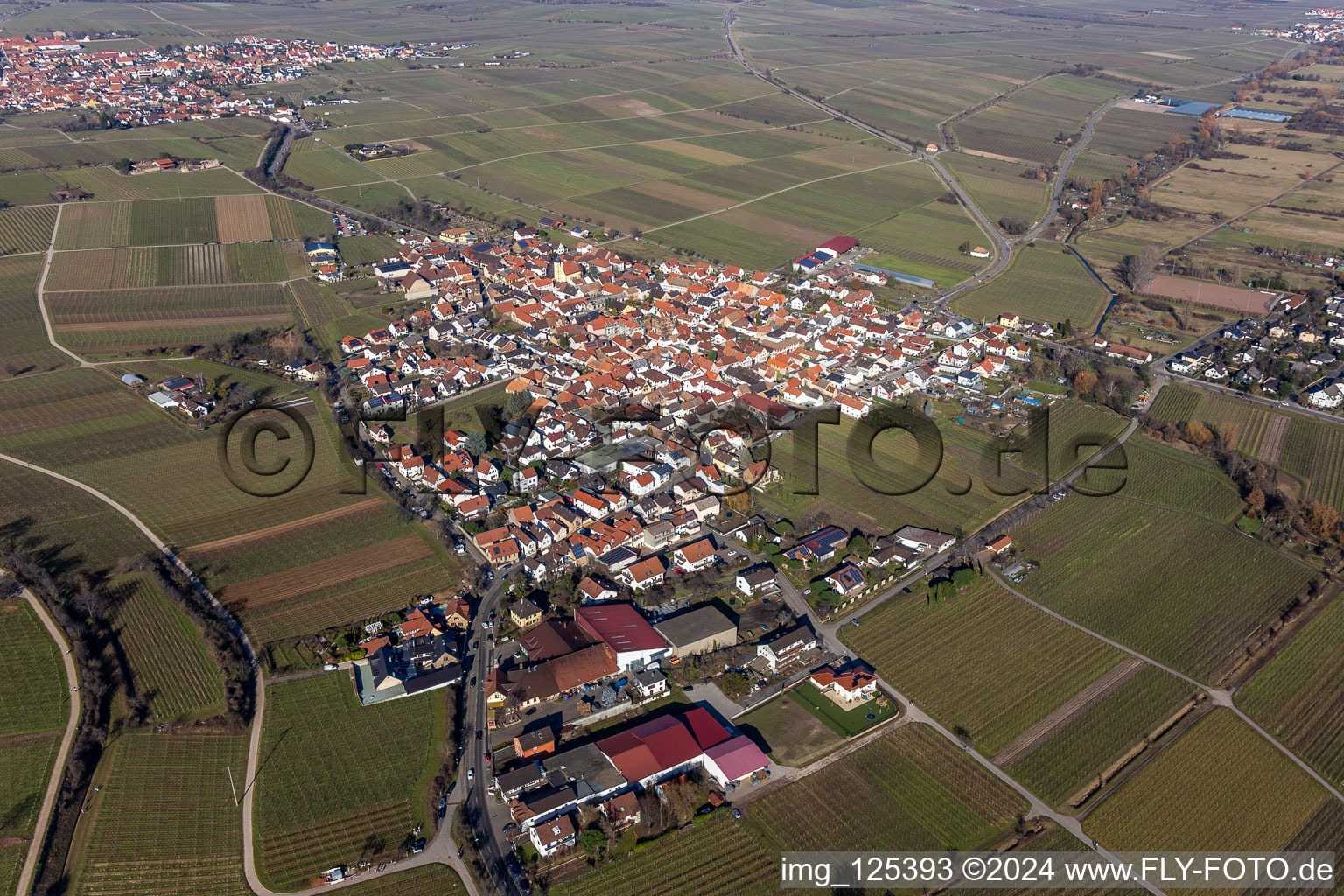 Town center on the edge of vineyards and wineries in the wine-growing area in Ungstein in the state Rhineland-Palatinate, Germany