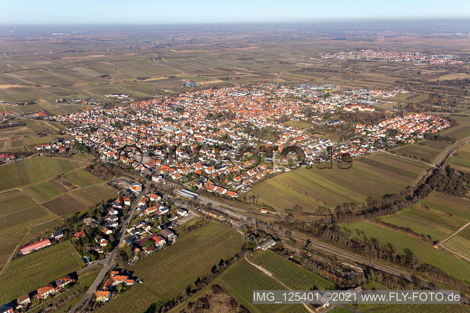 Town View of the streets and houses of the residential areas surrounded by wine yards in Freinsheim in the state Rhineland-Palatinate, Germany