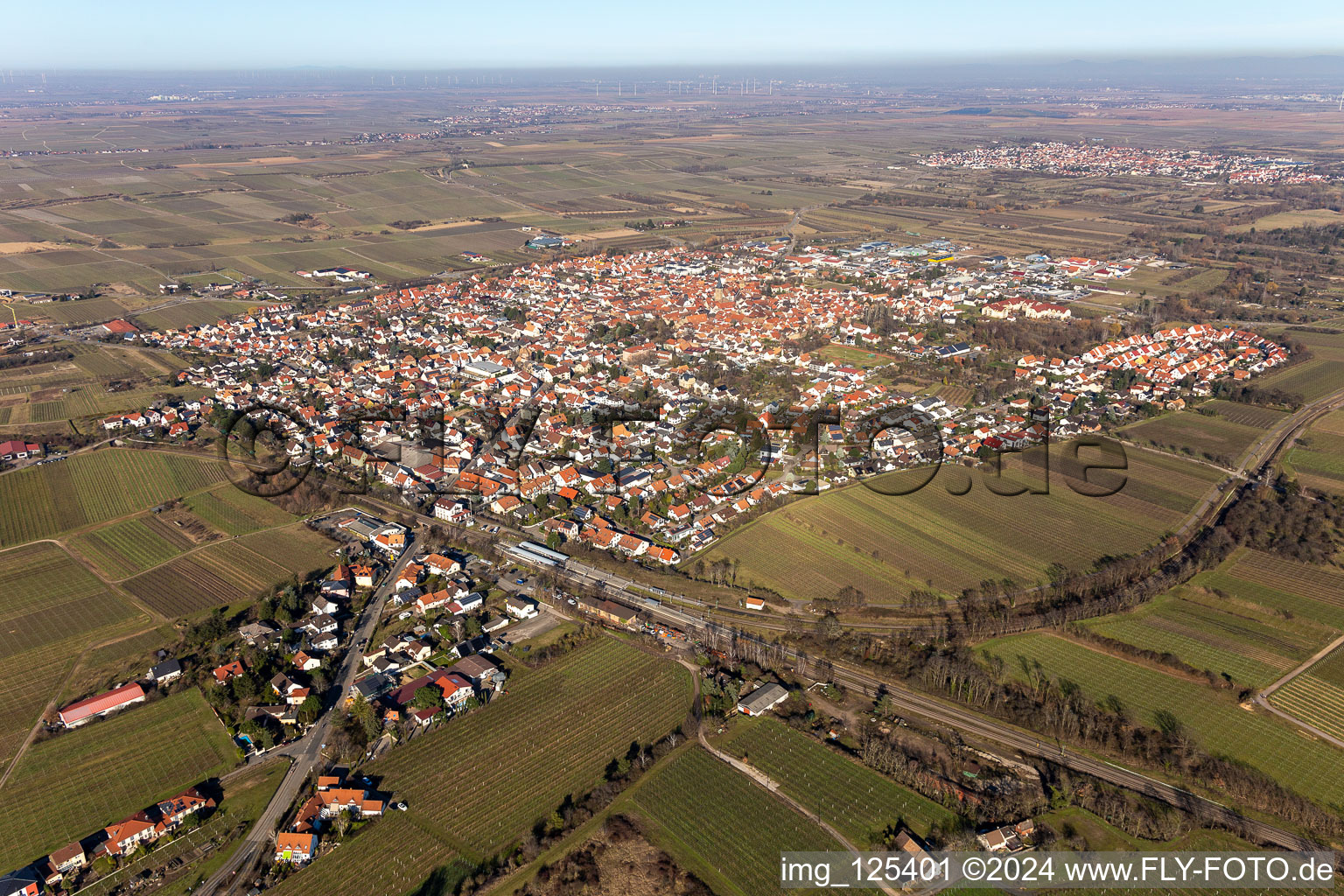 Town View of the streets and houses of the residential areas surrounded by wine yards in Freinsheim in the state Rhineland-Palatinate, Germany