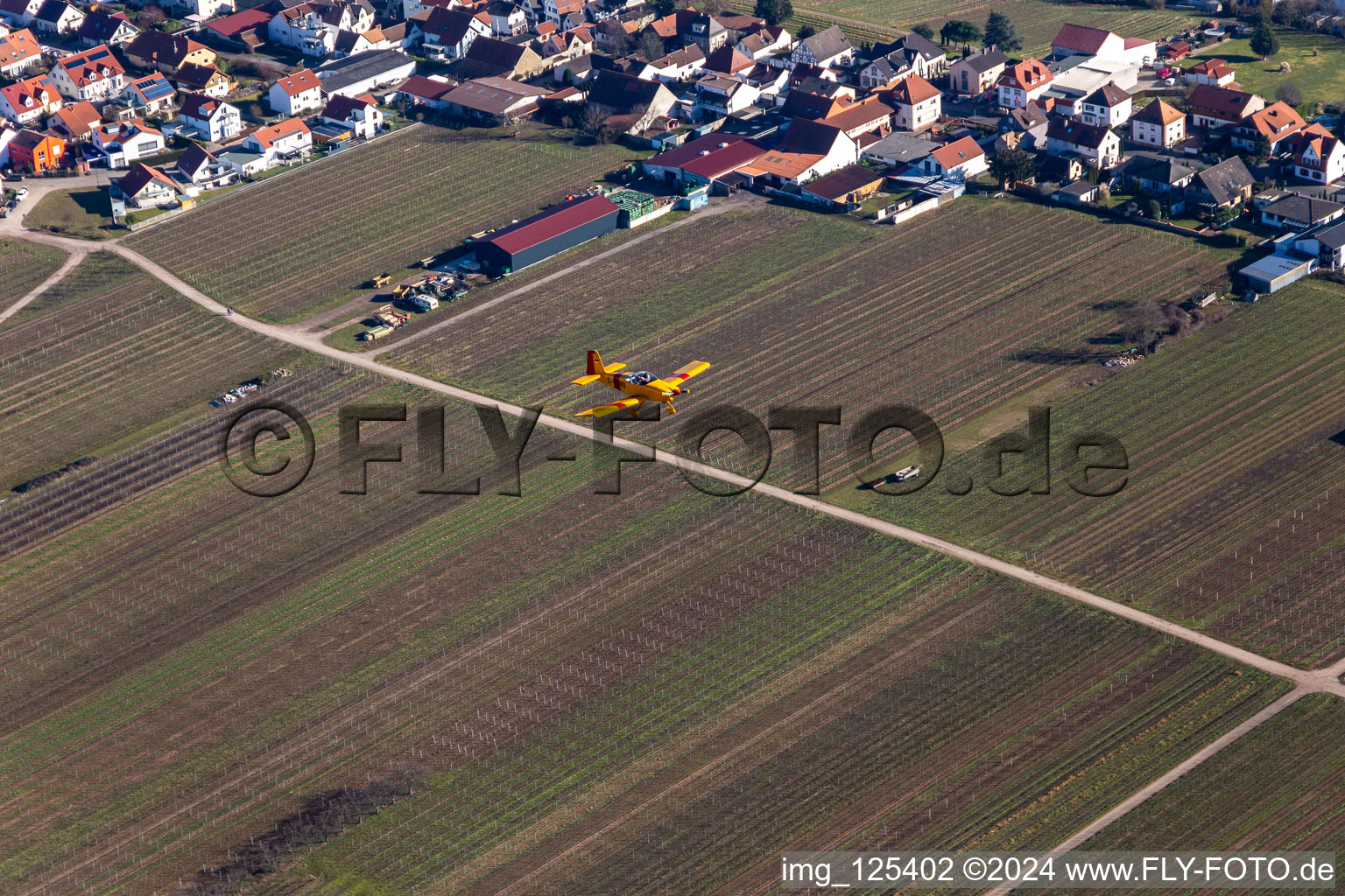 Aerial encounter on approach to Bad Dürkheim in Erpolzheim in the state Rhineland-Palatinate, Germany