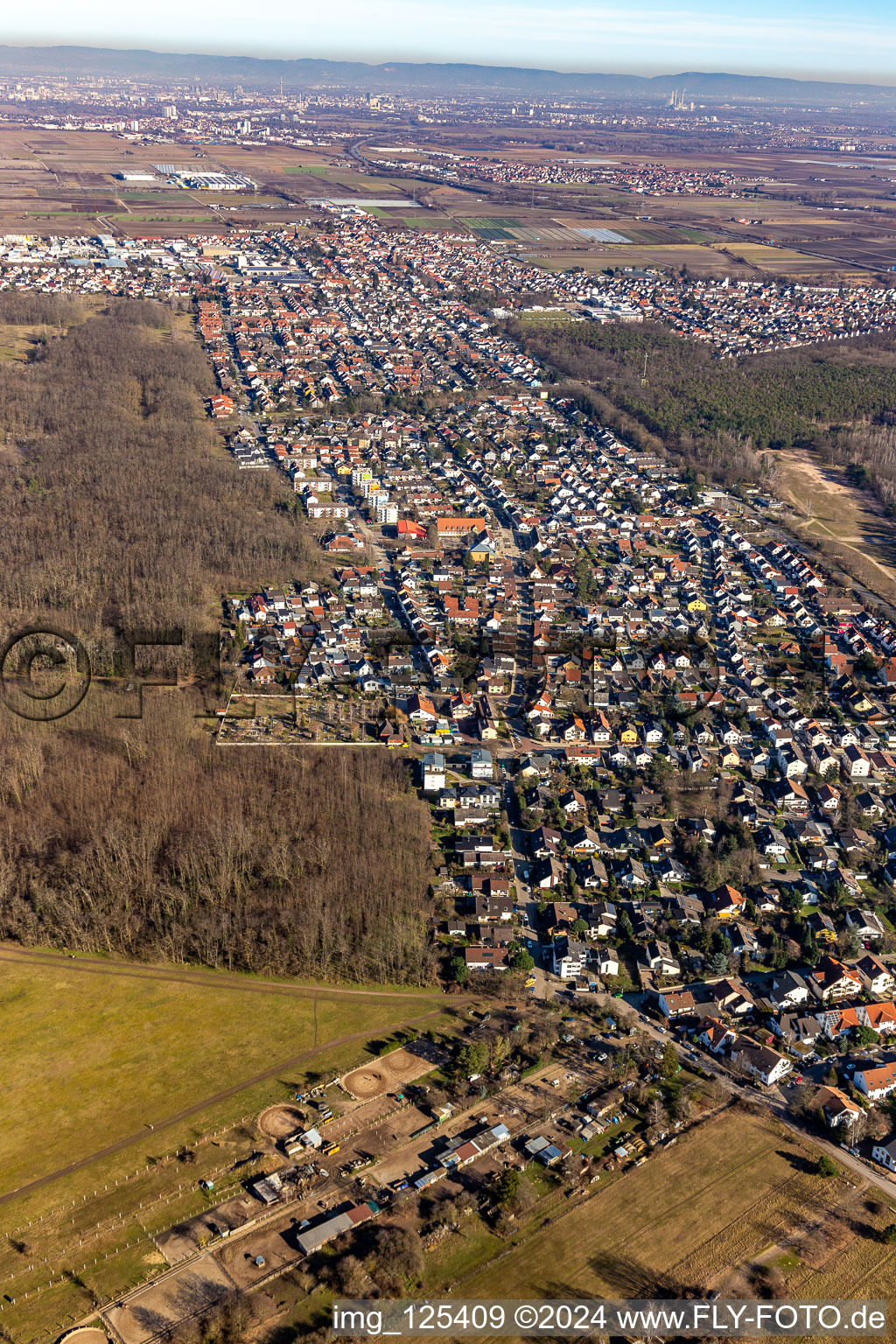 Aerial view of City area with outside districts and inner city area in Maxdorf in the state Rhineland-Palatinate, Germany