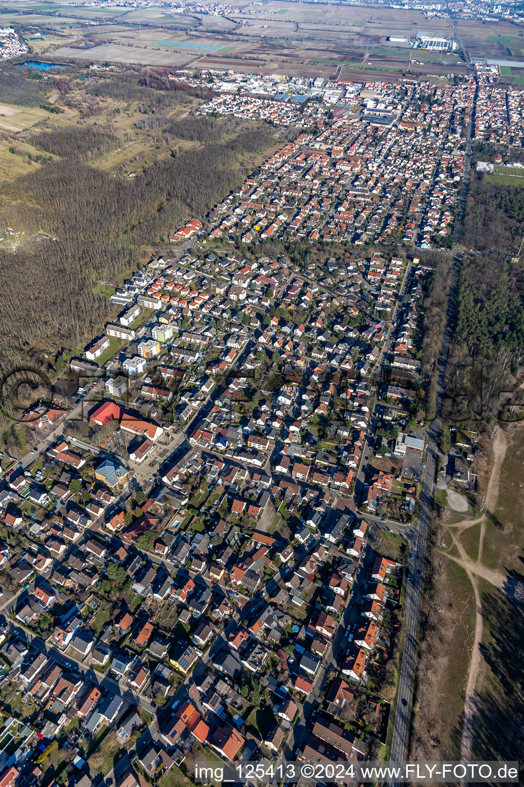 Aerial view of Birkenheide in the state Rhineland-Palatinate, Germany