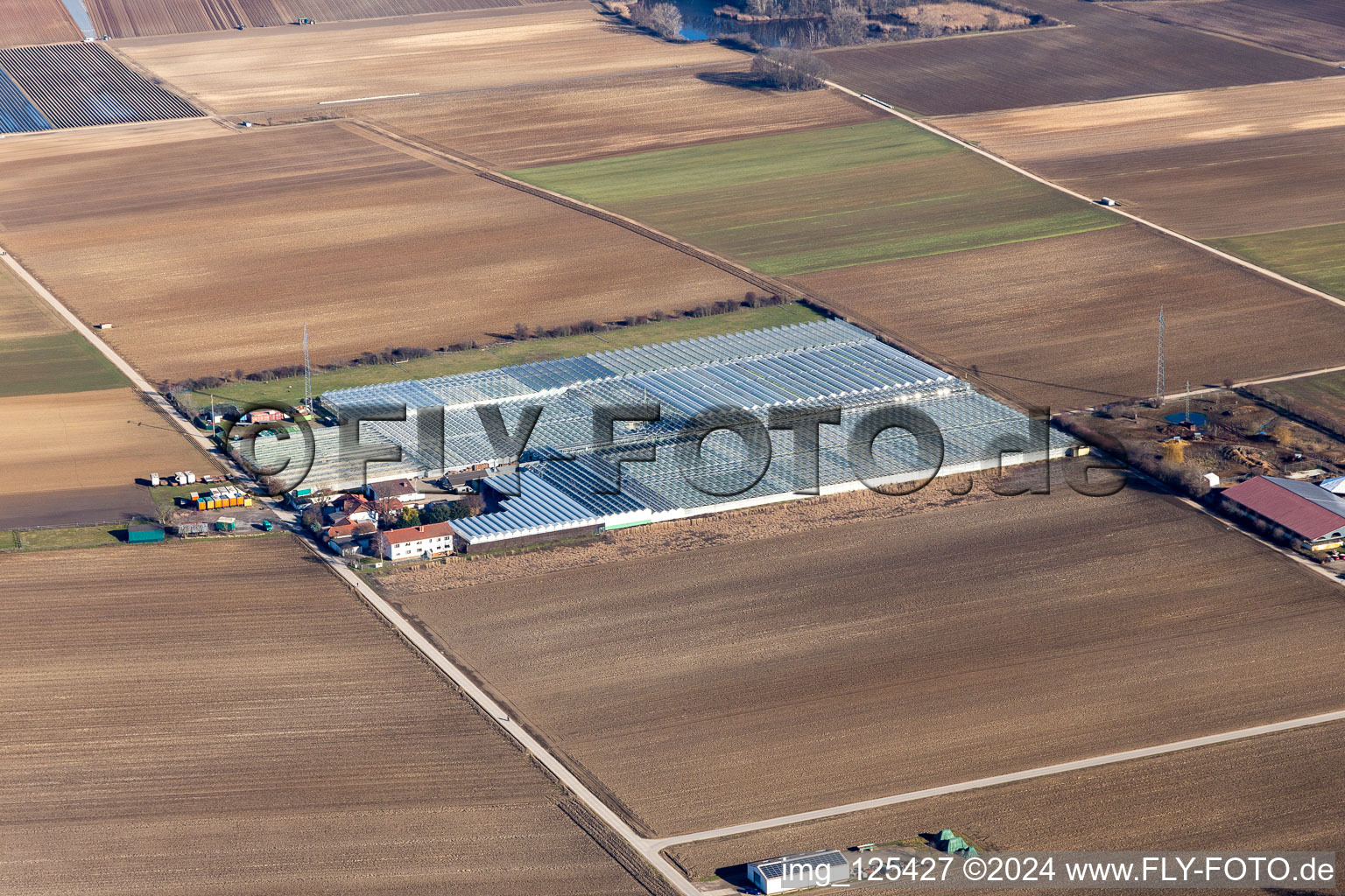 Glass roof surfaces in the greenhouse for vegetable growing ranks of Gerhardt GmbH in Ruchheim in the state Rhineland-Palatinate, Germany