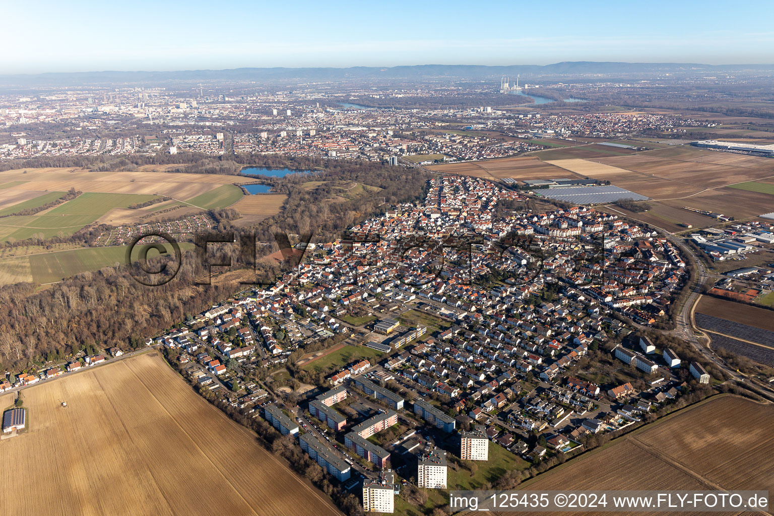 Town View of the streets and houses of the residential areas in the district Maudach in Ludwigshafen am Rhein in the state Rhineland-Palatinate, Germany