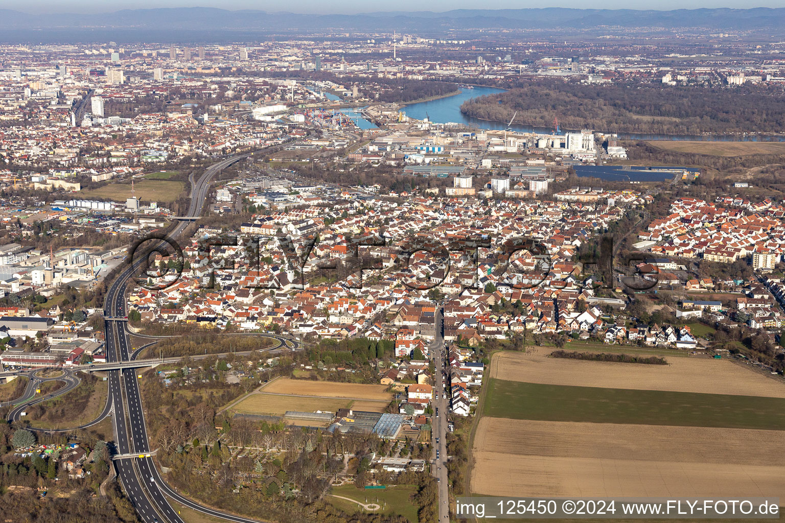 Aerial view of Town View of the streets and houses of the residential areas in the district Rheingoenheim in Ludwigshafen am Rhein in the state Rhineland-Palatinate, Germany