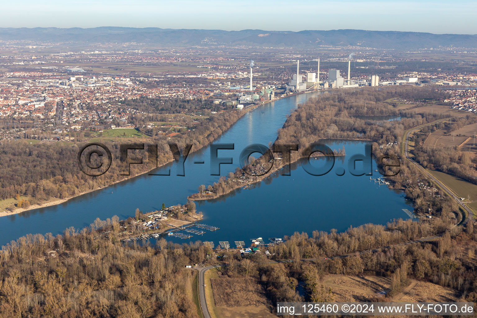 Aerial view of Kiefweiher in the district Rheingönheim in Ludwigshafen am Rhein in the state Rhineland-Palatinate, Germany