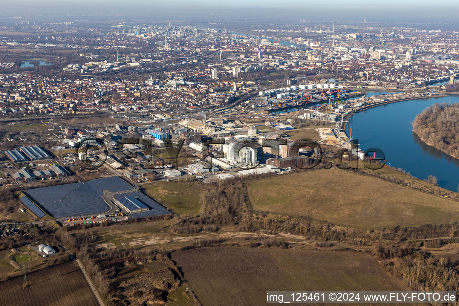 Oblique view of Industrial and commercial area in the district Rheingoenheim in Ludwigshafen am Rhein in the state Rhineland-Palatinate, Germany