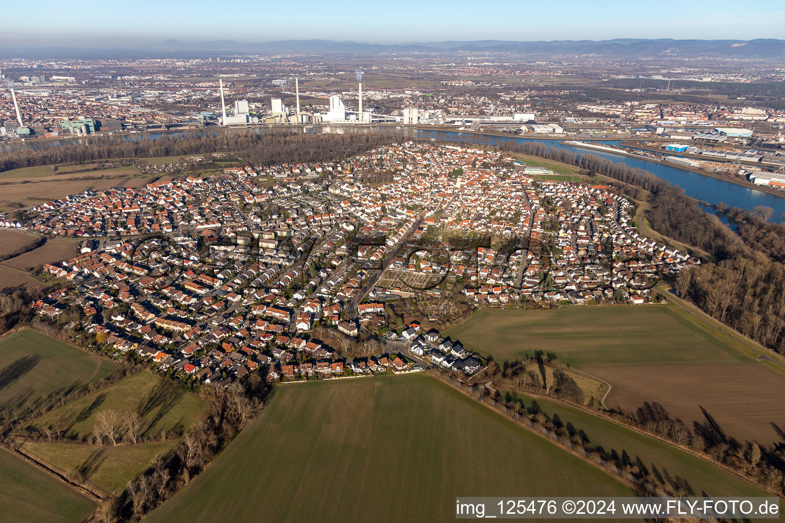 Town View of the streets and houses of the residential areas in Altrip in the state Rhineland-Palatinate from above