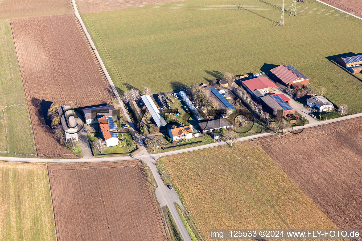 Jürgen Emmert's farm in Plankstadt in the state Baden-Wuerttemberg, Germany