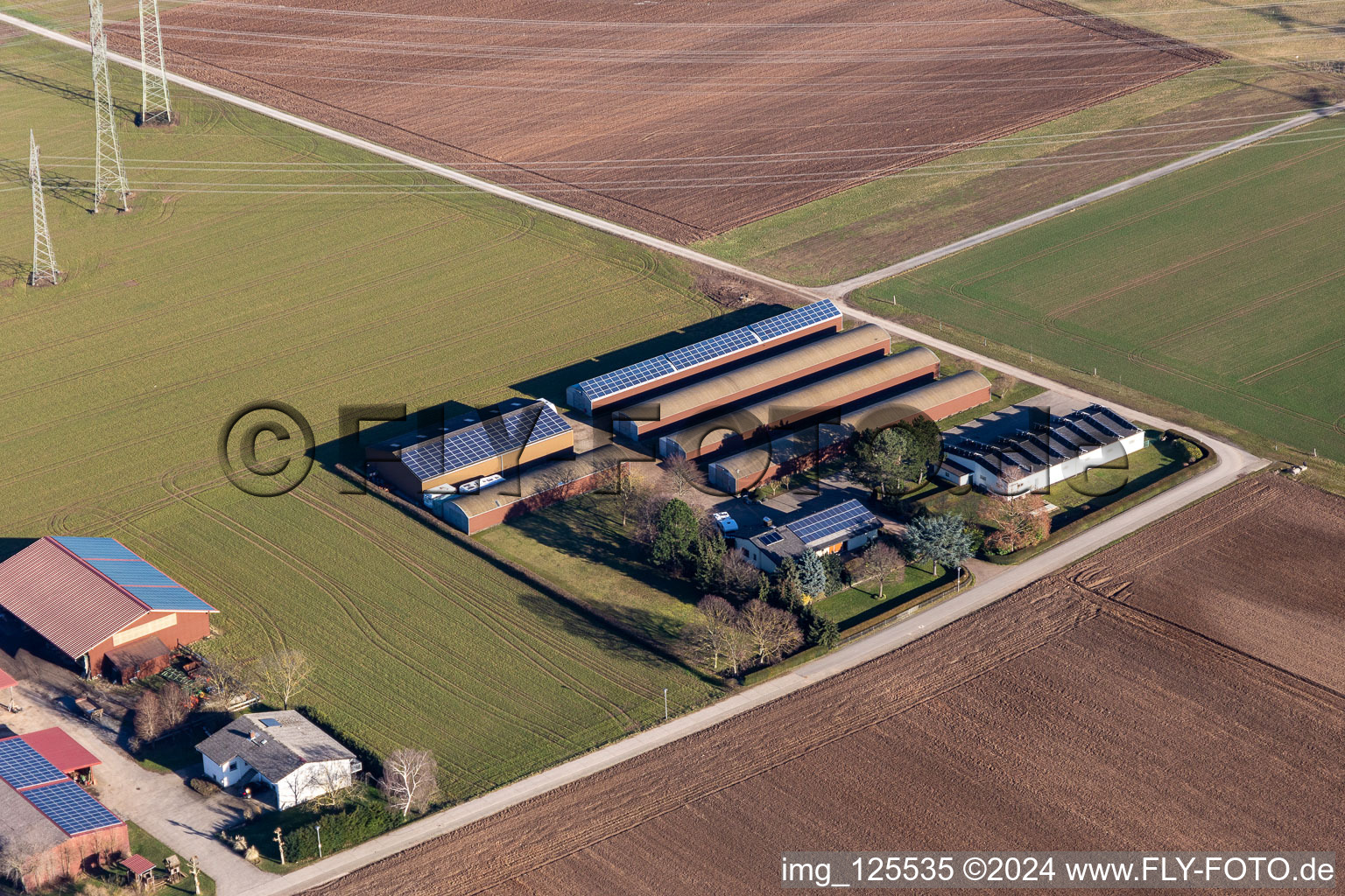 Aerial view of Aussiedlerhof Alsheimer Weg in Plankstadt in the state Baden-Wuerttemberg, Germany