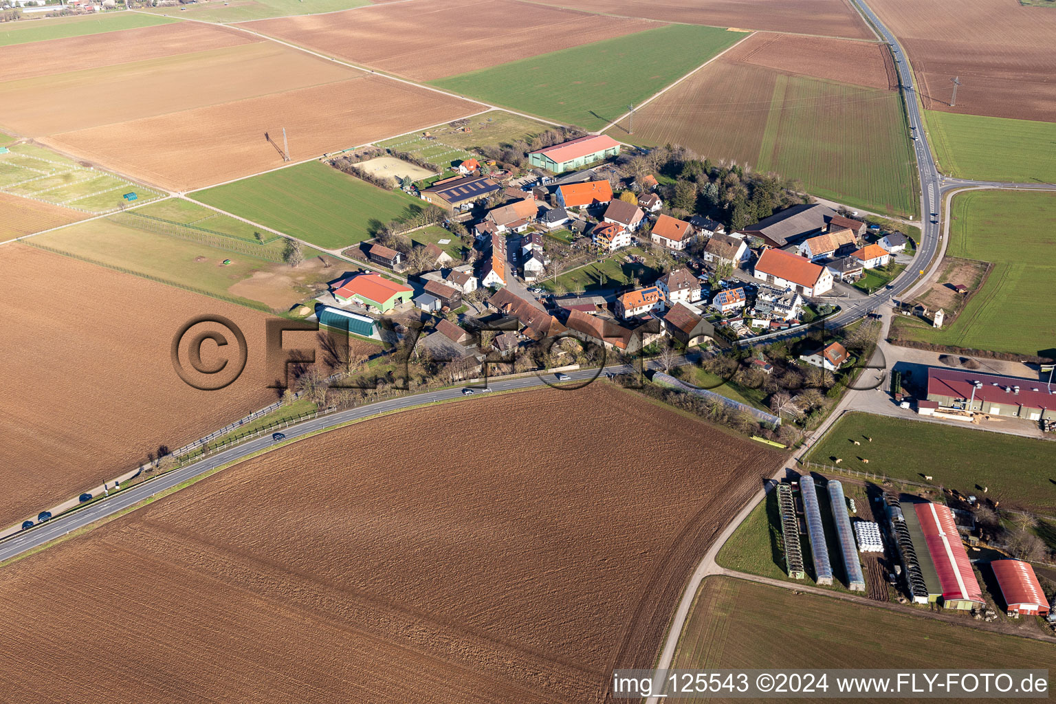 Aerial view of District Bruchhausen in Sandhausen in the state Baden-Wuerttemberg, Germany