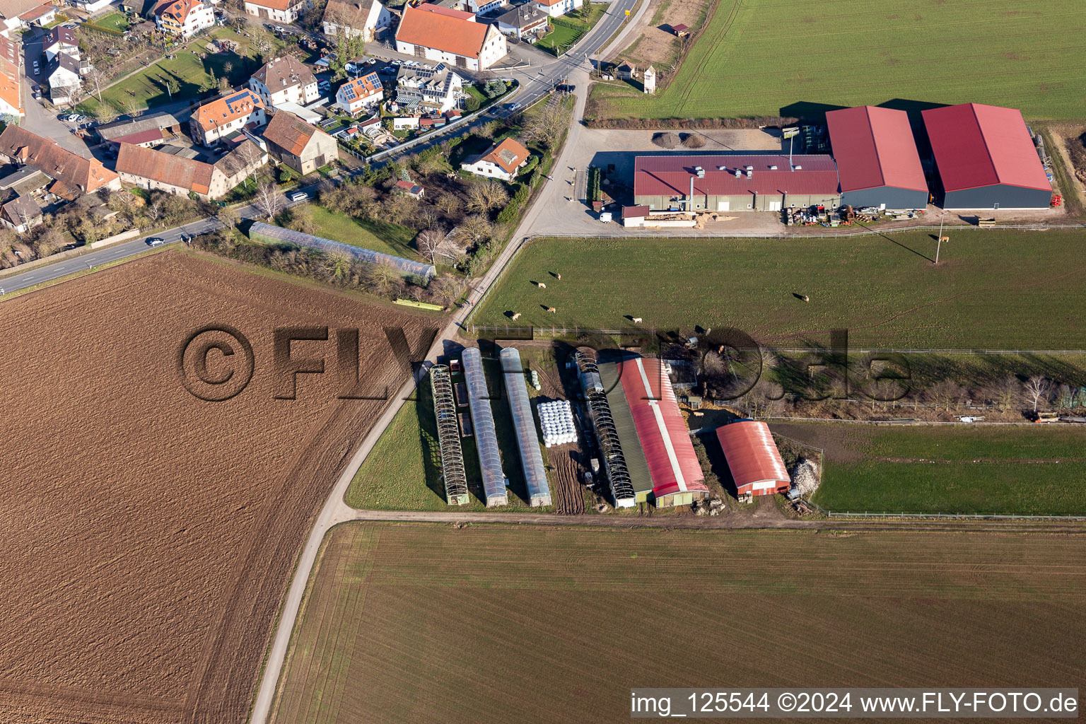 Aerial photograpy of District Bruchhausen in Sandhausen in the state Baden-Wuerttemberg, Germany