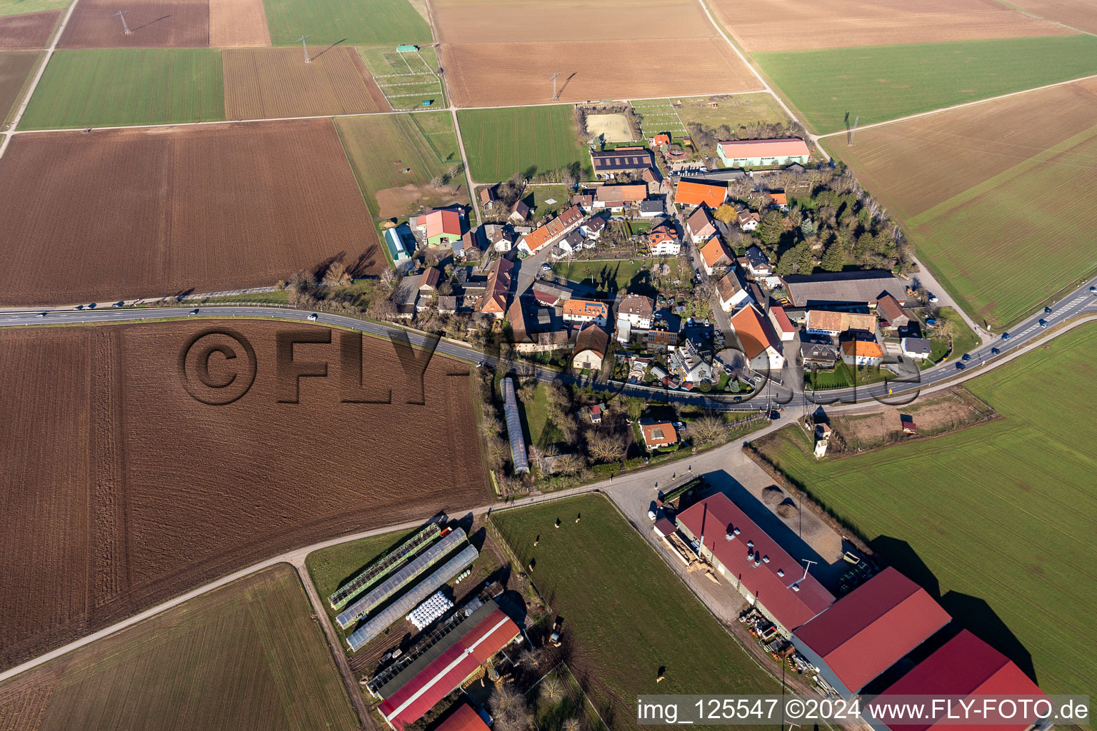 Aerial view of Village view in the district Bruchhausen in Sandhausen in the state Baden-Wuerttemberg, Germany