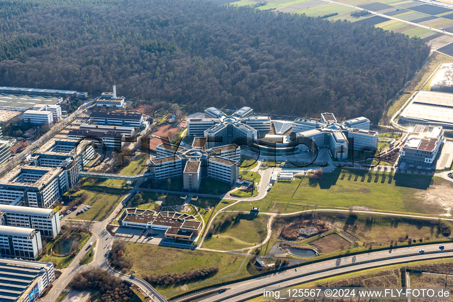 Star-shaped office buildings of the SAP Deutschland SE & Co. KG at the forest edged in Walldorf in the state Baden-Wuerttemberg